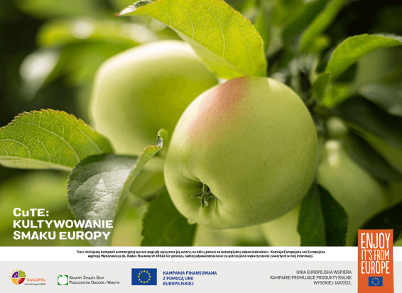 Polskie jabłka ponownie promowane w ramach projektu CuTE/ Fot. materiały prasowe Polskie jabłka ponownie promowane w ogólnoeuropejskiej kampanii