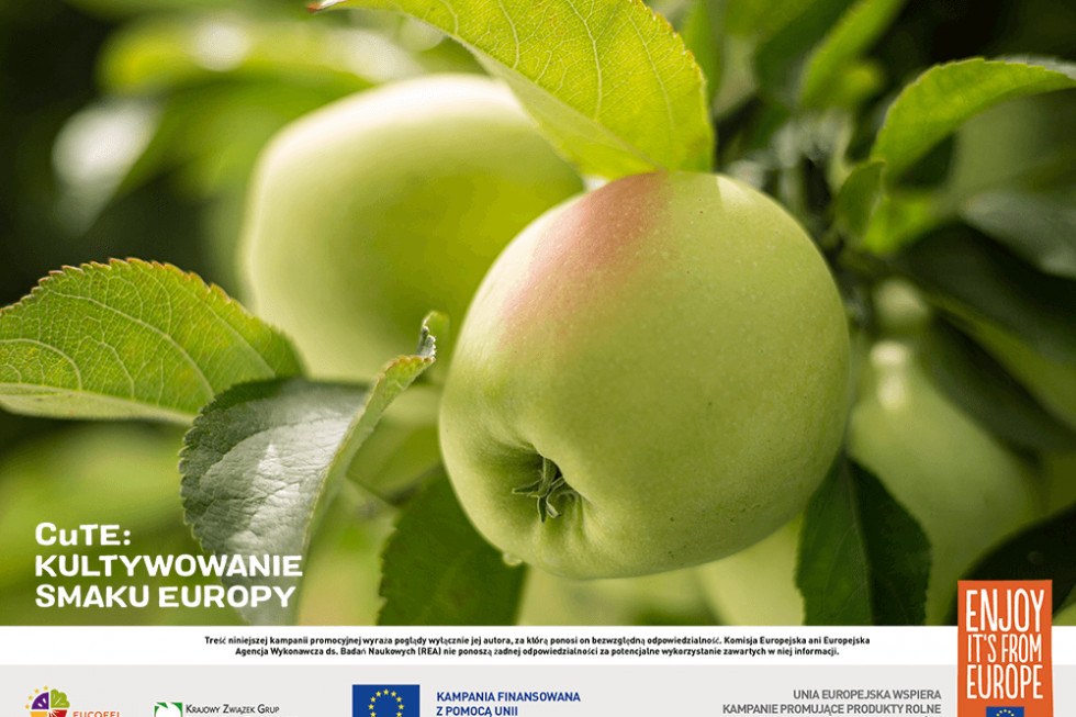 Polskie jabłka ponownie promowane w ogólnoeuropejskiej kampanii