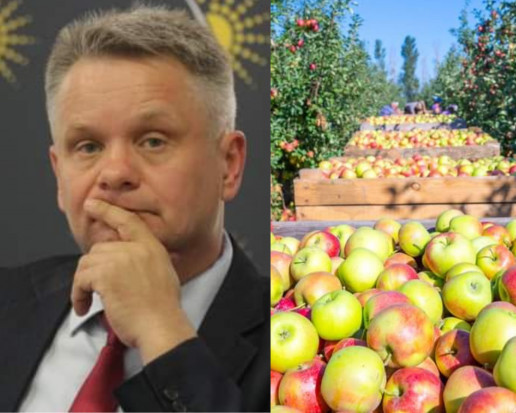 Mirosław Maliszewski: Nie zbierzemy owoców bez pracowników z Ukrainy!/ fot. shutterstock.com/PTWP Mirosław Maliszewski: Nie zbierzemy owoców bez pracowników z Ukrainy!