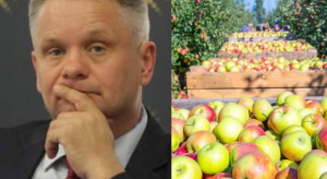 Mirosław Maliszewski: Nie zbierzemy owoców bez pracowników z Ukrainy!