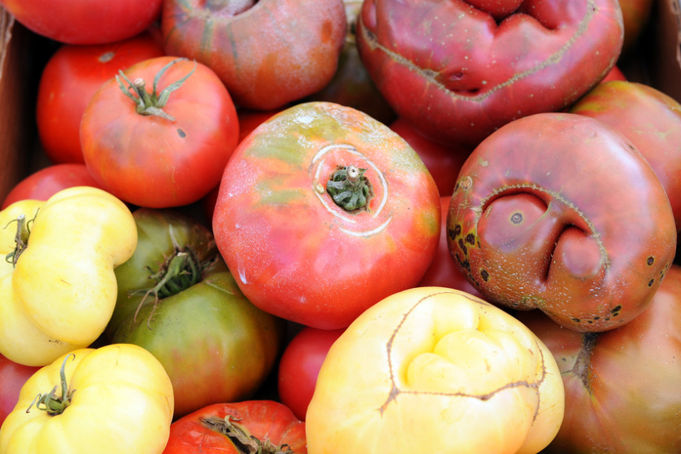 Sprzedaż nieidealnych warzyw i owoców zwiększy się?