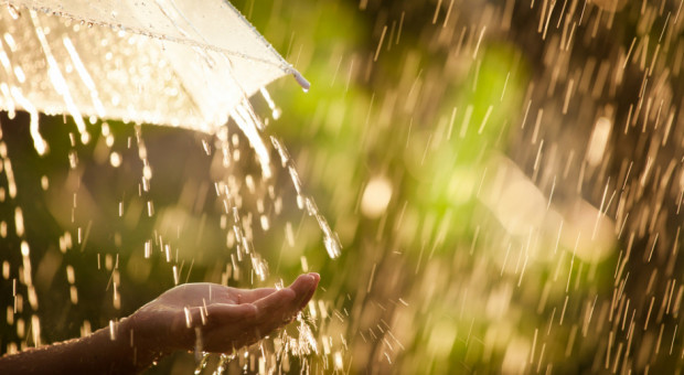 fot. shutterstock IMGW: w niedzielę przelotne opady deszczu i burze w całym kraju