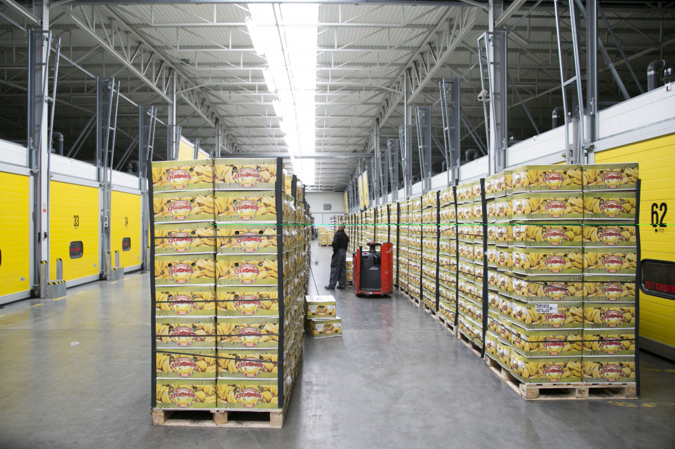 Citronex inwestuje w nową dojrzewalnię bananów na Węgrzech