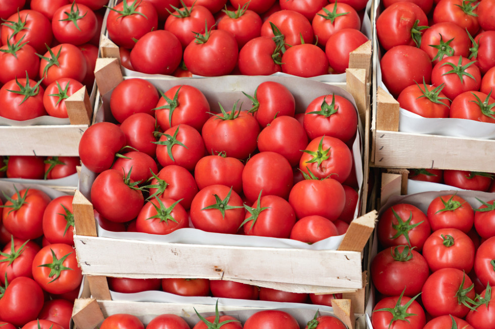 Mazowieckie: Ukradziono 600 kg pomidorów z giełdy warzywnej