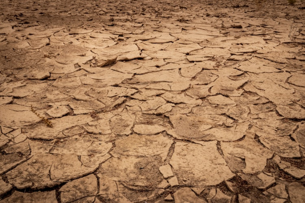 W Brazylii największa susza od ponad 90 lat. Potrzebne inwestycje w gospodarkę wodną
