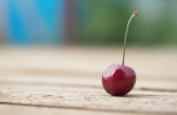 Wiśnia-gigant pochodzi z uprawy w miejscowości Pecetto/ fot. shutterstock Włochy: Najcięższa wiśnia na świecie waży 33 gramy