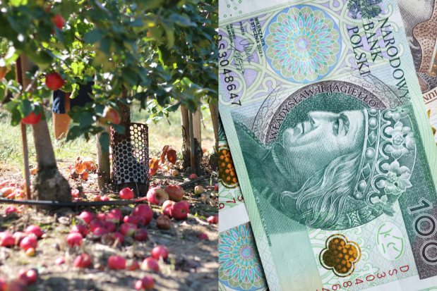 400 mln zł na dopłaty do ubezpieczeń rolnych w 2021 r.; fot. unsplash.com Ile na dopłaty do ubezpieczeń rolnych? Sprzeczne komunikaty rządu i MRiRW