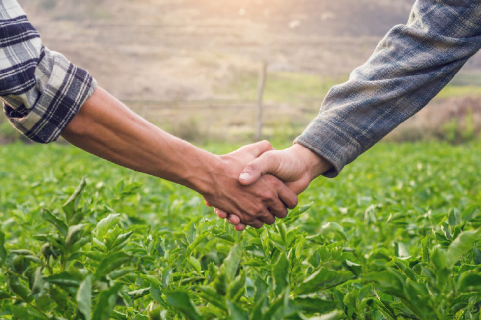 Sejm uchwalił nowelę ułatwiającą tworzenie i funkcjonowanie grup producentów rolnych/ fot. shutterstock Nowela ułatwiająca tworzenie i funkcjonowanie grup producentów rolnych przyjęta