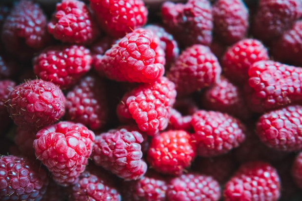 Popyt na maliny na rynkach światowych jest wysoki/ fot. unsplash Rekordowo wysokie ceny malin w Serbii wpłyną na krajowy rynek