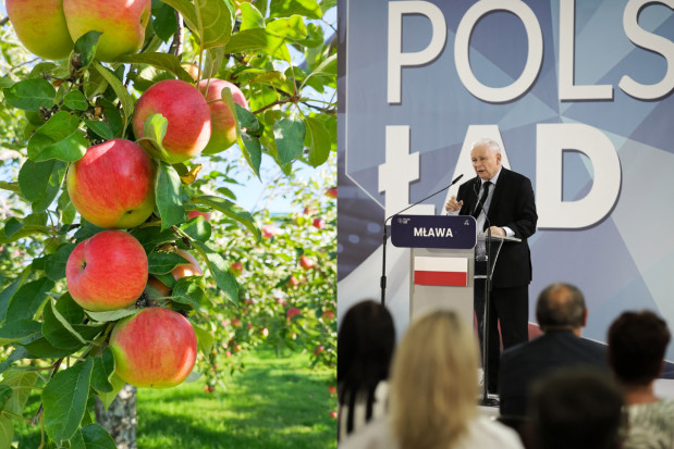 Wicepremier Kaczyński z obietnicami dotyczącymi ubezpieczeń w rolnictwie; fot. unsplash.com / PAP/Szymon Łabiński Ubezpieczenia w rolnictwie - co obiecał Kaczyński?