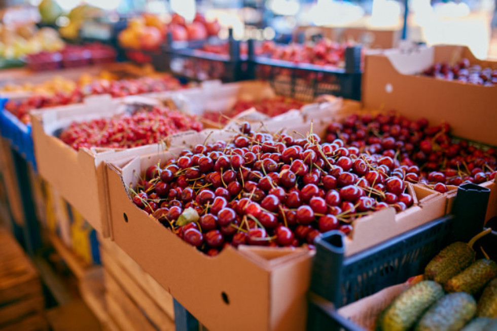 3 zł za kg czereśni; fot. shutterstock.com Niekontrolowany import przyczyną załamania rynku czereśni?