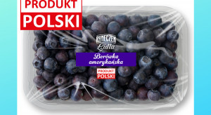 Polskie owoce jagodowe w specjalnej ofercie Lidla. Jakie ceny?