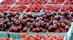 Węgry: bardzo wysokie ceny malin. Wiśnie też będą drogie?