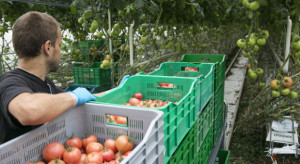 Holandia: Coraz mniej chętnych do pracy w sektorze rolno-ogrodniczym