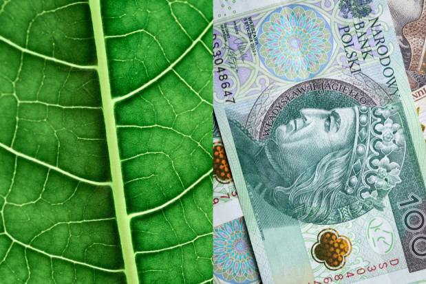 Uruchomiono wyszukiwarkę EkoDotacji; fot. unsplash.com / canva Ruszyła wyszukiwarka dotacji ekologicznych. To ponad 100 programów
