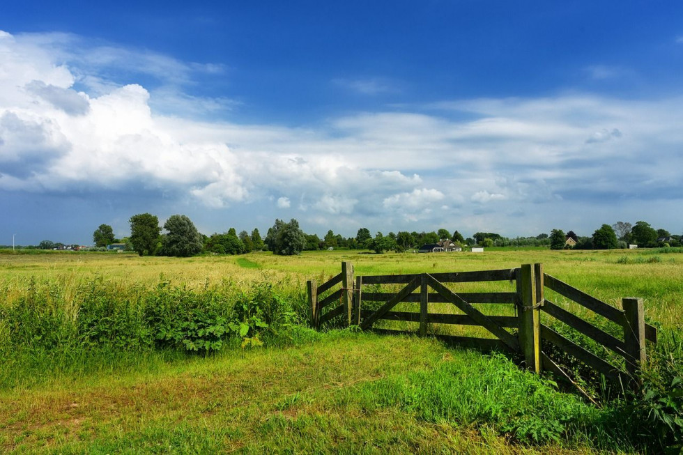 Upał w poniedziałek odpuści/ fot. pixabay W poniedziałek upał odpuści, do południa możliwe burze i deszcze