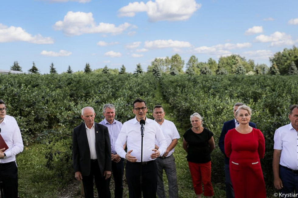 Premier odwiedził największą polską plantację borówki amerykańskiej