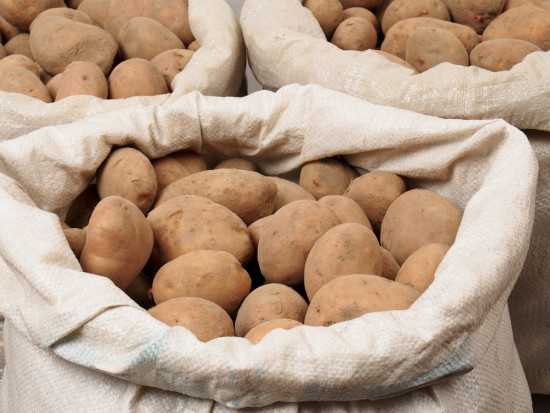 Holandia: Celnicy przechwycili kokainę w workach z ziemniakami
