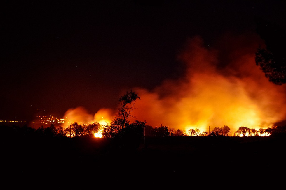 Hiszpania: Pożar lasów w Katalonii pochłonął już 1,3 tys. hektarów