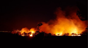 Hiszpania: Pożar lasów w Katalonii pochłonął już 1,3 tys. hektarów