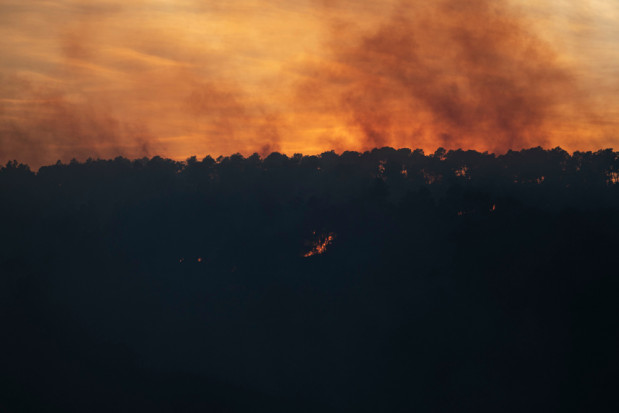 Pożar w Katalonii objął teren o powierzchni blisko 1700. hektarów, głównie lasów/ fot. shutterstock Hiszpania: Strażacy opanowali duży pożar lasów w Katalonii