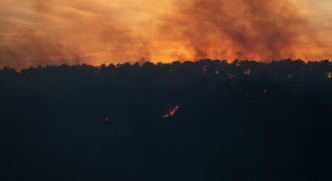 Hiszpania: Strażacy opanowali duży pożar lasów w Katalonii