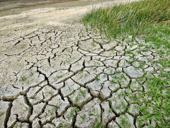 81 proc. Polaków obawia się zmian klimatu / fot. pixabay 81 proc. Polaków obawia się zmian klimatu (badanie)
