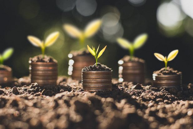 Ile w końcu jest na nowe dopłaty?/ fot. shutterstock Jaka pula na dopłaty w nowej WPR?
