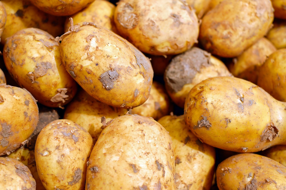 Młode ziemniaki najpopularniejszym warzywem w lipcu