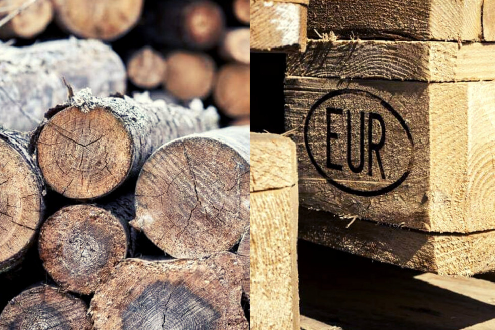 Wzrost cen średnich drewna w Polsce nie jest silny/ fot. shutterstock.com MKiŚ: wzrost cen średnich drewna w Polsce nie jest silny