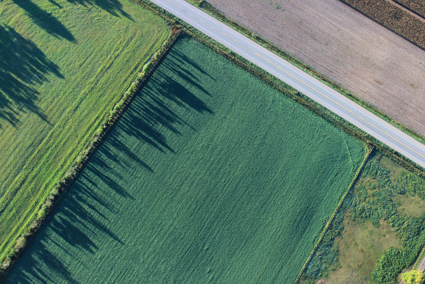 KOWR: coraz mniej gruntów do zagospodarowania/Fot.unsplash KOWR: coraz mniej gruntów do zagospodarowania