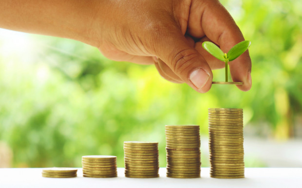 Senat zaproponował poprawki do noweli dot. wsparcia finansowego polskich organizacji rolnych w UE/ fot. shutterstock.com Kto zapłaci za uczestnictwo Polaków w ponadnarodowych organizacjach rolniczych?