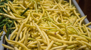 Ceny fasolki szparagowej w hurcie coraz niższe