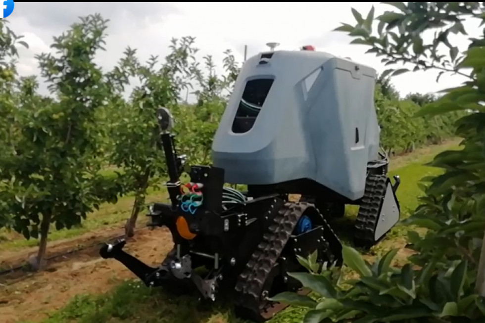 Agribot- polski robot rozpoczął próby w gospodarstwie sadowniczym