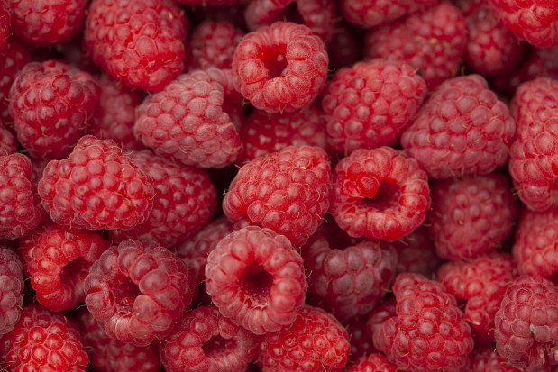 Ile obecnie płacą skupy za kilogram malin?/ fot.pixabay.com Maliny w skupach - analiza cen owoców