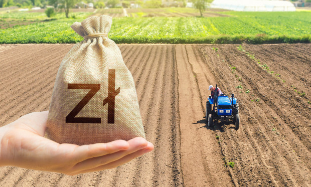 Rolnicy skarżą się, że są przymuszani do sprzedawania pośrednikom swoich warzyw i owoców po kosztach ich produkcji/ fot. shutterstock.com Plantatorzy są zmuszeni do sprzedawania warzyw i owoców za grosze