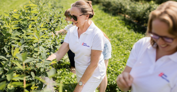 Plantatorzy owoców jagodowych zapraszają pracowników służby zdrowia na plantacje w całej Polsce/ fot. materiały prasowe Plantatorzy owoców jagodowych zapraszają medyków na plantacje