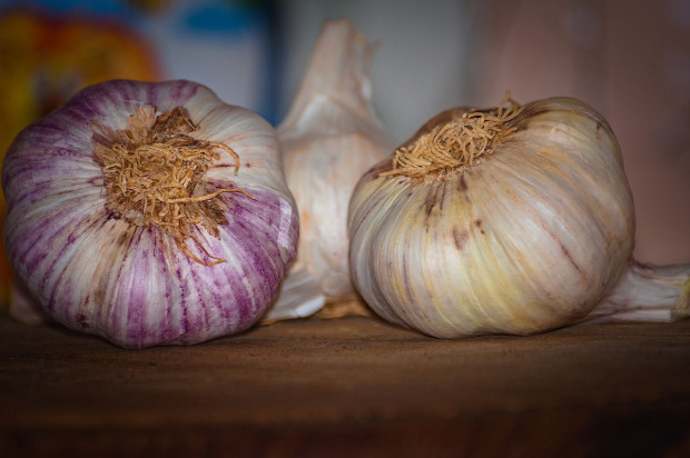 Czy na uprawie czosnku uda się zarobić?/ fot. pixabay Na uprawie czosnku można zarobić? - wywiad z plantatorem z Gorzowa