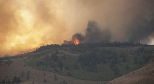 W Hiszpanii szaleje 60 pożarów lasów