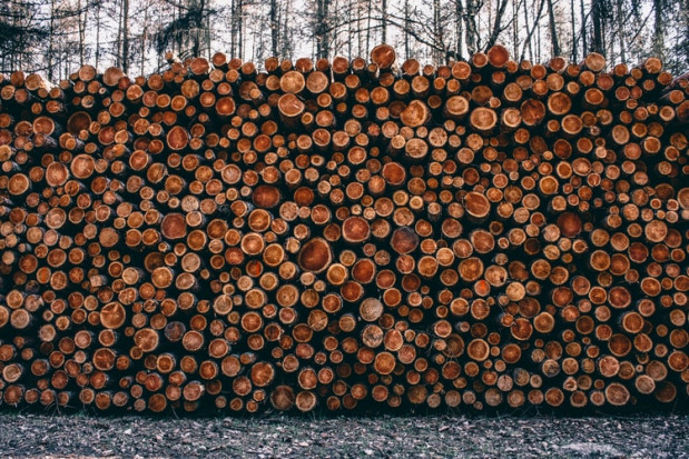 W Niemczech zabrakło drewna; rynek drenują Amerykanie i Chińczycy