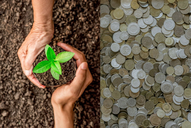 LIR: potrzebna rządowa pomoc dla gospodarstw dotkniętych kataklizmami pogodowymi/fot. shutterstock.com LIR: potrzebna rządowa pomoc dla gospodarstw dotkniętych kataklizmami pogodowymi