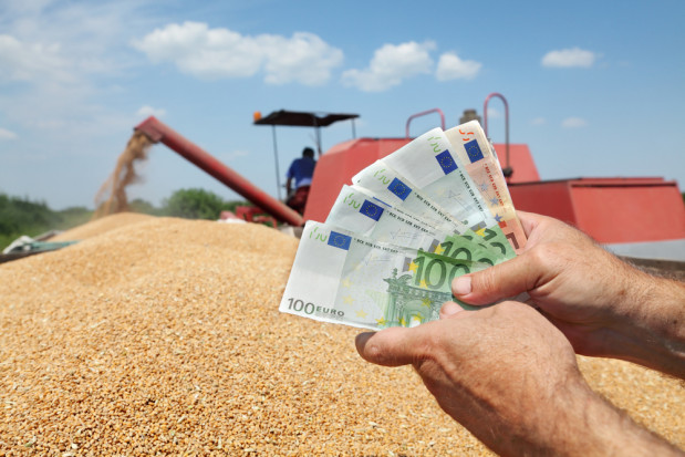 Towarowa Giełda Energii powołała Radę Rynku Rolnego/ fot. shutterstock GPW: Towarowa Giełda energii powołała Radę Rynku Rolnego