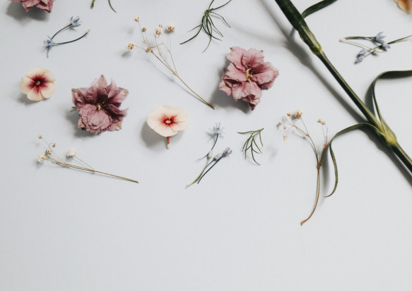 Herbolario Industries chce zainwestować w woj. świętokrzyskim; fot. unsplash.com Włoska firma chce inwestować w przetwórstwo i produkcję ziół w Świętokrzyskiem