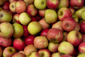 Rosną ceny wczesnych jabłek w Mołdawii