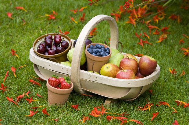Jabłka, borówki, śliwki - najpopularniejsze owoce sierpnia