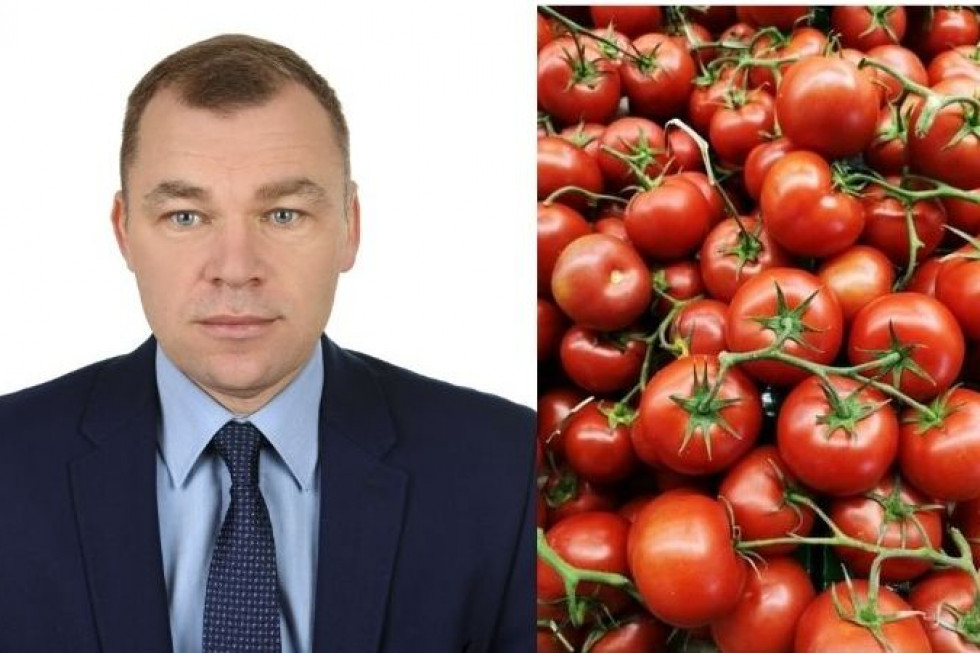 Witold Szpurka, prezes SGPOiW dla przetwórstwa w Pudliszkach o perspektywach rozwoju produkcji pomidora gruntowego SGPOiW Pudliszki: Zawęża się możliwość ochrony warzyw (wywiad)