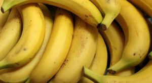 Czarnogóra: Policja przejęła ponad tonę kokainy w transporcie bananów