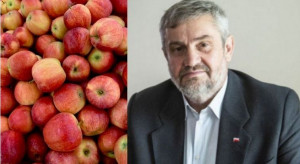 Ardanowski: optymalna cena kg jabłek w skupie powinna wynosić 35-40 gr