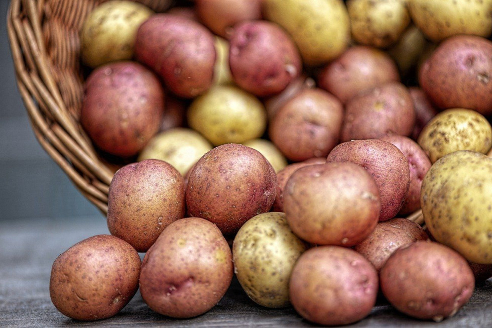 Które ziemniaki najpopularniejsze?