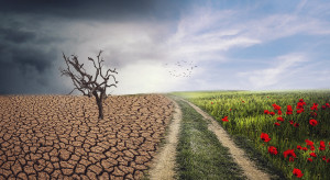 Zmiany klimatu: W Polsce problemem będą nawalne deszcze i okresy suszy (video)